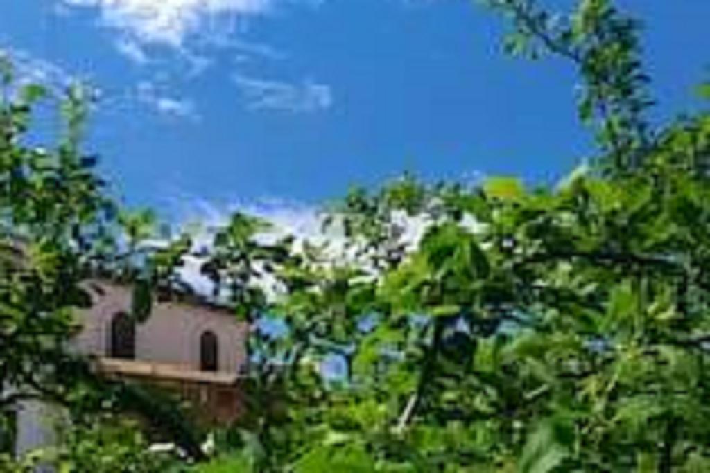 Holiday home Il Gelsomino